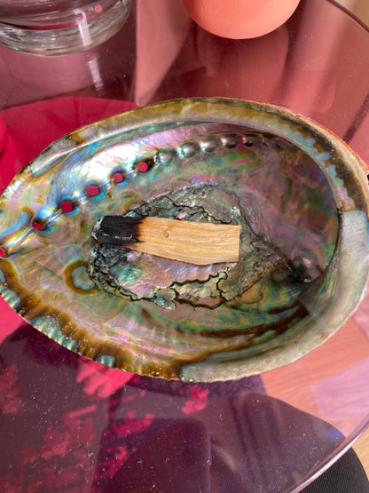 Palo Santo de Qualité Supérieure